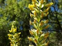 Andalusien Wandern 31 1  Andalusien_2007