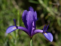 Andalusien Wandern 32 1  Andalusien_2007