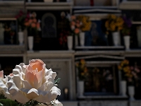 Andalusien Wandern 34 1  Andalusien_2007