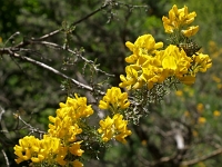 Andalusien Wandern 44 1  Andalusien_2007