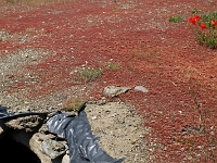 Andalusien Wandern 45 1  Andalusien_2007