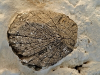 Andalusien Wandern 47 1  Andalusien_2007