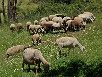 Andalusien Wandern 48 1  Andalusien_2007