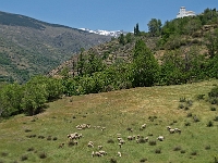 Andalusien Wandern 49 1  Andalusien_2007