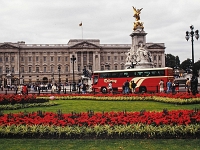 England 1996  London - Buckinham Palace : England Juli 1996