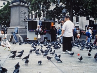 England 1996  London - Trafalgar Square : England Juli 1996