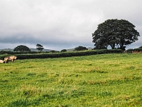 England 1996  unterwegs : England Juli 1996