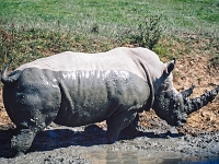 England 1996  unterwegs : England Juli 1996