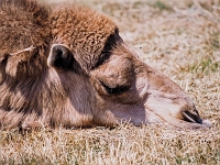 England 1996  unterwegs : England Juli 1996