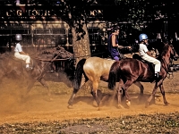 England 1996  London Hydepark : England Juli 1996