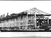 Helgoland im Juli 2022  an den Ufern der Elbe : Helgoland, 2022, Nordsee