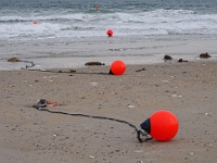 Helgoland im Juli 2022  Strandgut : Helgoland, 2022, Nordsee