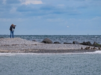 Helgoland im Juli 2022  Ein Kollege : Helgoland, 2022, Nordsee