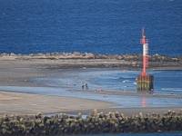 Helgoland im Juli 2022  Düne, gesehen vom Oberland der Hauptinsel : Helgoland, 2022, Nordsee