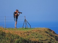 Helgoland im Juli 2022  Rundgang Oberland : Helgoland, 2022, Nordsee