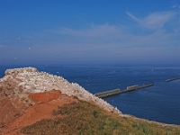 Helgoland im Juli 2022  Rundgang Oberland : Helgoland, 2022, Nordsee