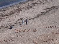 Helgoland im Juli 2022  Rundgang Oberland : Helgoland, 2022, Nordsee