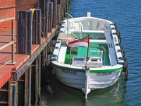 Helgoland im Juli 2022  Rundfahrt um die Insel im Börtrboot : Helgoland, 2022, Nordsee