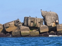 Helgoland im Juli 2022  Rundfahrt um die Insel im Börtrboot : Helgoland, 2022, Nordsee