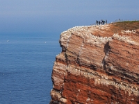Helgoland im Juli 2022  Rundgang Oberland : Helgoland, 2022, Nordsee