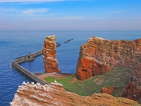 Helgoland im Juli 2022  Rundgang Oberland : Helgoland, 2022, Nordsee