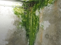 Helgoland im Juli 2022  im Bunker : Helgoland, 2022, Nordsee