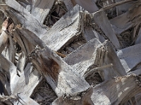 p5225220 f 1  Israel_2017 / Haifa - Bahai Gaerten : ISR, Israel