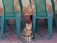 p5225226 f 1  Israel_2017 / Akko : ISR, Israel