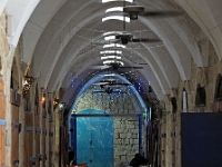 p5225281 f 1  Israel_2017 / Akko : ISR, Israel