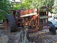 P5230215 f 1  Israel_2017 / im Kibbutz