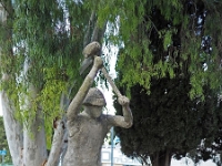 p5230209 f 1  Israel_2017 / im Kibbutz