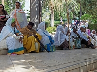 p5235347 f 1  Israel_2017 / Ort der Bergpredigt : ISR, Israel