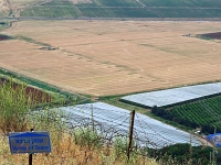 p5236258 f 1  Israel_2017 / Auf den Golanhoehen : ISR, Israel