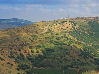 p5236260 f 1  Israel_2017 / Auf den Golanhoehen : ISR, Israel