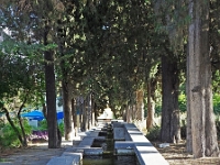 p5236291 f 1  Israel_2017 / im Kibbutz