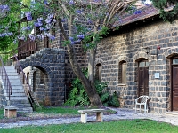 p5236297 f 1  Israel_2017 / im Kibbutz