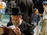 p5256699 f 1  Israel_2017 / Jerusalem - Gebete an der Klagemauer