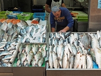 p5260310 f 1  Israel_2017 / Jerusalem - ein Marktbummel