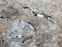 p5280452 f 1  Israel_2017 / Jerusalem - an der Klagemauer