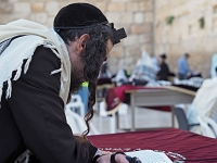 p5280470 f 1  Israel_2017 / Jerusalem - an der Klagemauer