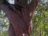 Lago 31  Sacro Monte Orta