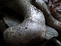 Lago 43  Wanderung von Cannero Rivera nach Cannobio