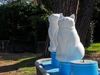 Lago 55  Stresa und Isola Bella