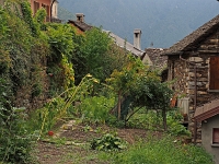 Lago 74  Bergdörfer im Tal von Cannobio