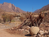 p6232001 1  hier waren Elefanten