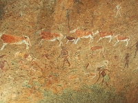 p6232012 1  White Lady