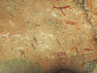 p6232014 1  White Lady