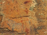 p6232017 1  White Lady