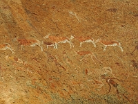 p6232019 1  White Lady