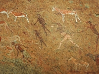 p6232020 1  White Lady